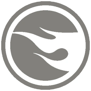 Hot Wheels Treasure Hunt Flama Plateada Logo